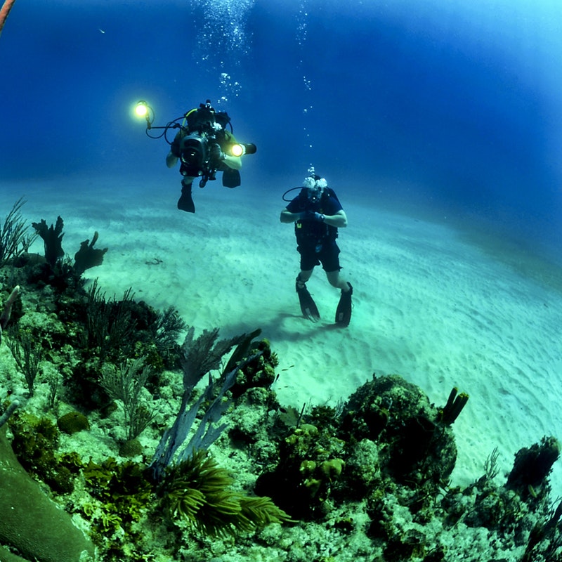 Duis auteirure ferto dolor kolle